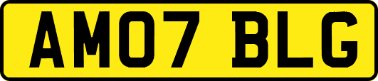 AM07BLG