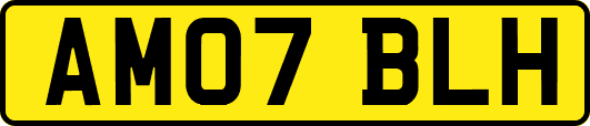 AM07BLH