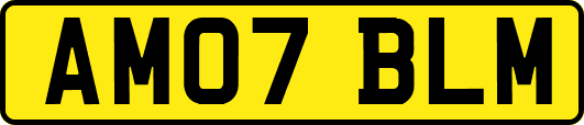 AM07BLM