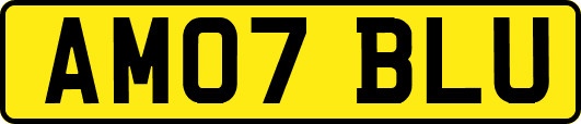 AM07BLU