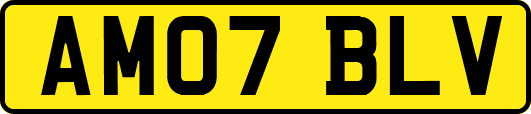 AM07BLV