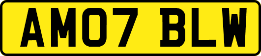 AM07BLW