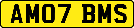 AM07BMS