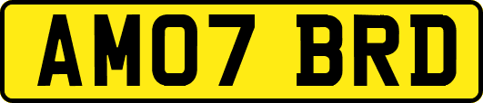 AM07BRD