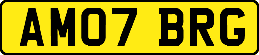 AM07BRG