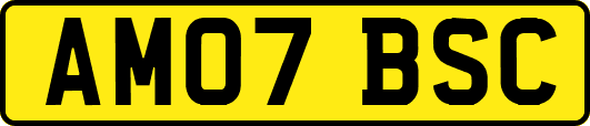 AM07BSC