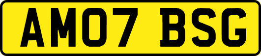 AM07BSG