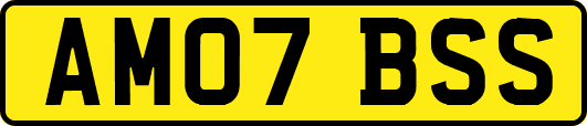 AM07BSS