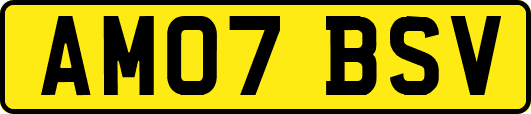 AM07BSV