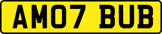 AM07BUB