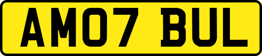 AM07BUL