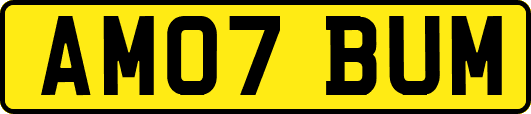 AM07BUM
