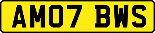 AM07BWS