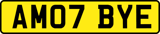 AM07BYE