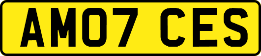 AM07CES