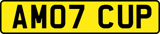 AM07CUP