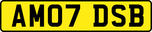 AM07DSB