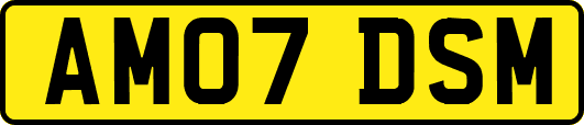 AM07DSM