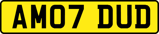 AM07DUD