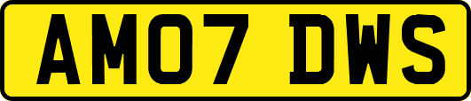 AM07DWS
