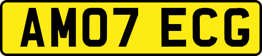 AM07ECG