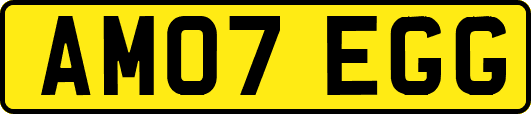 AM07EGG