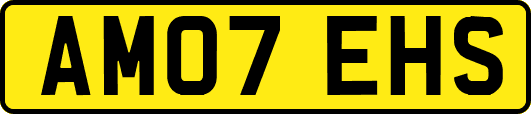 AM07EHS