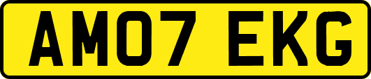 AM07EKG