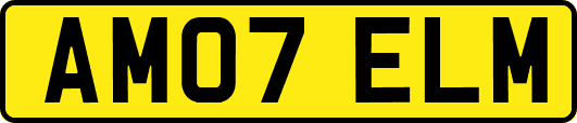 AM07ELM