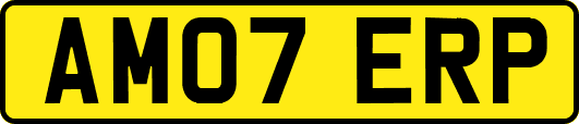 AM07ERP