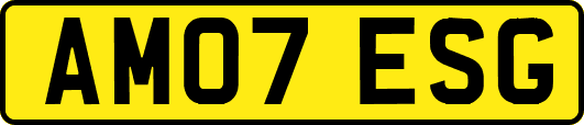AM07ESG