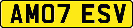 AM07ESV