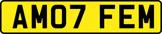 AM07FEM