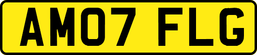 AM07FLG