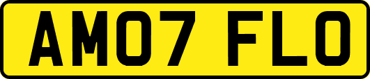 AM07FLO