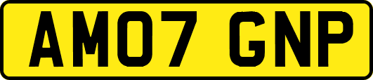 AM07GNP