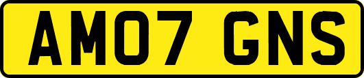 AM07GNS
