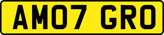 AM07GRO