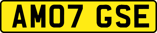AM07GSE