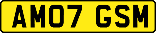 AM07GSM