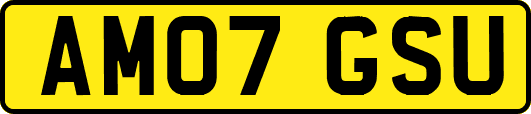 AM07GSU