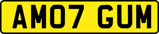 AM07GUM
