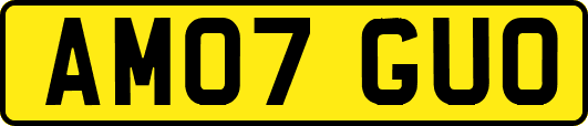 AM07GUO