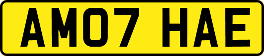 AM07HAE