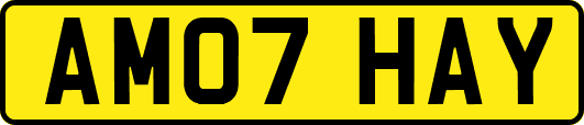 AM07HAY