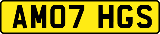 AM07HGS
