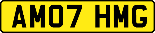 AM07HMG