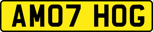 AM07HOG