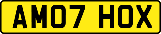 AM07HOX