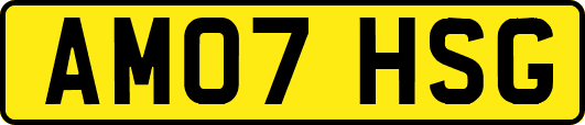 AM07HSG
